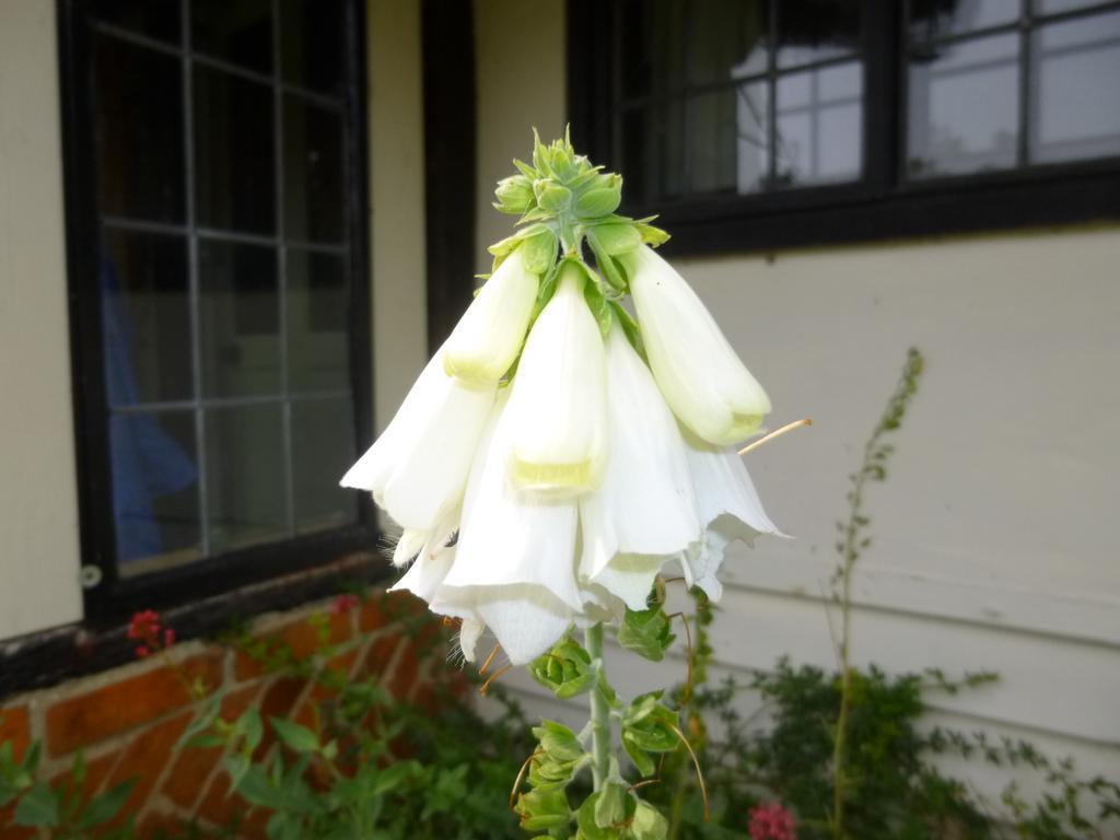 Church Hall Farm Bed And Breakfast Broxted Zimmer foto